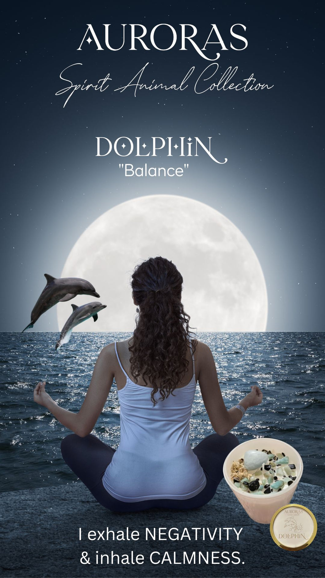 Spirit Animal Collection Dolphin 